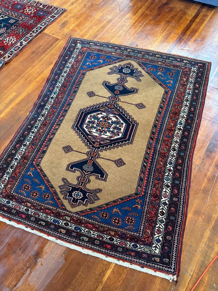 Hamadan Rug, NW Persia, Early 20th C.
