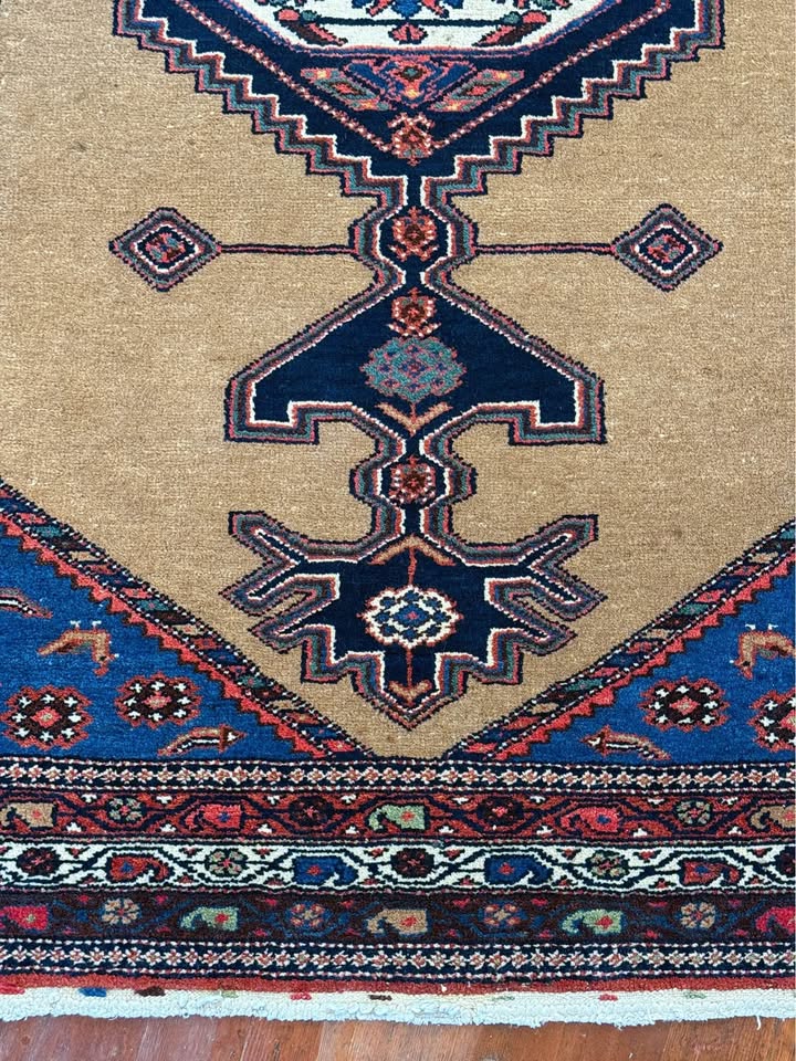 Hamadan Rug, NW Persia, Early 20th C.