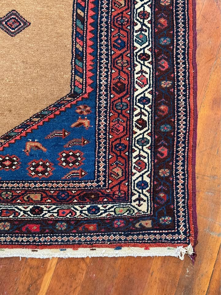 Hamadan Rug, NW Persia, Early 20th C.
