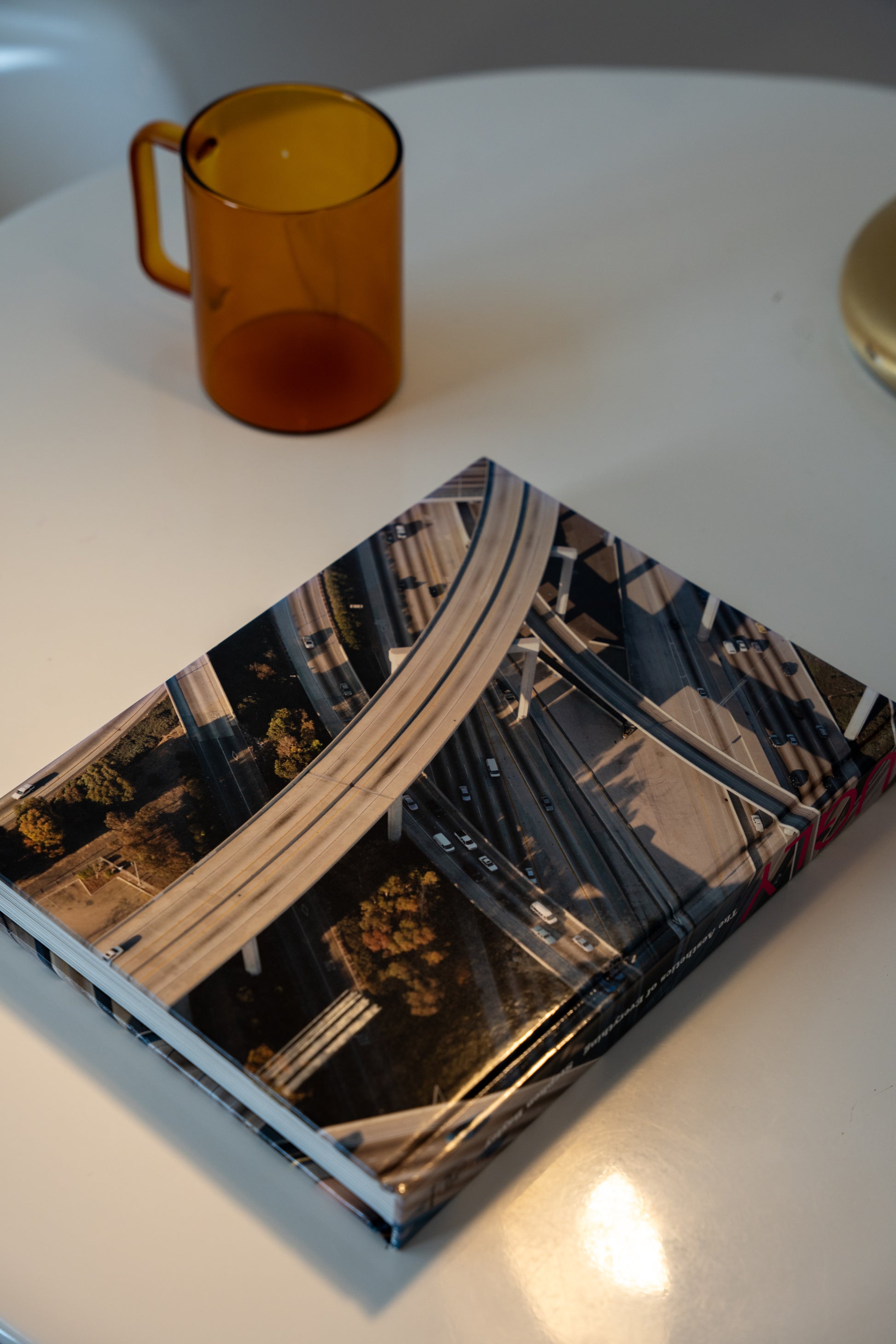 Ugly: The Aesthetics of Everything Hardcover by Stephen Bayley