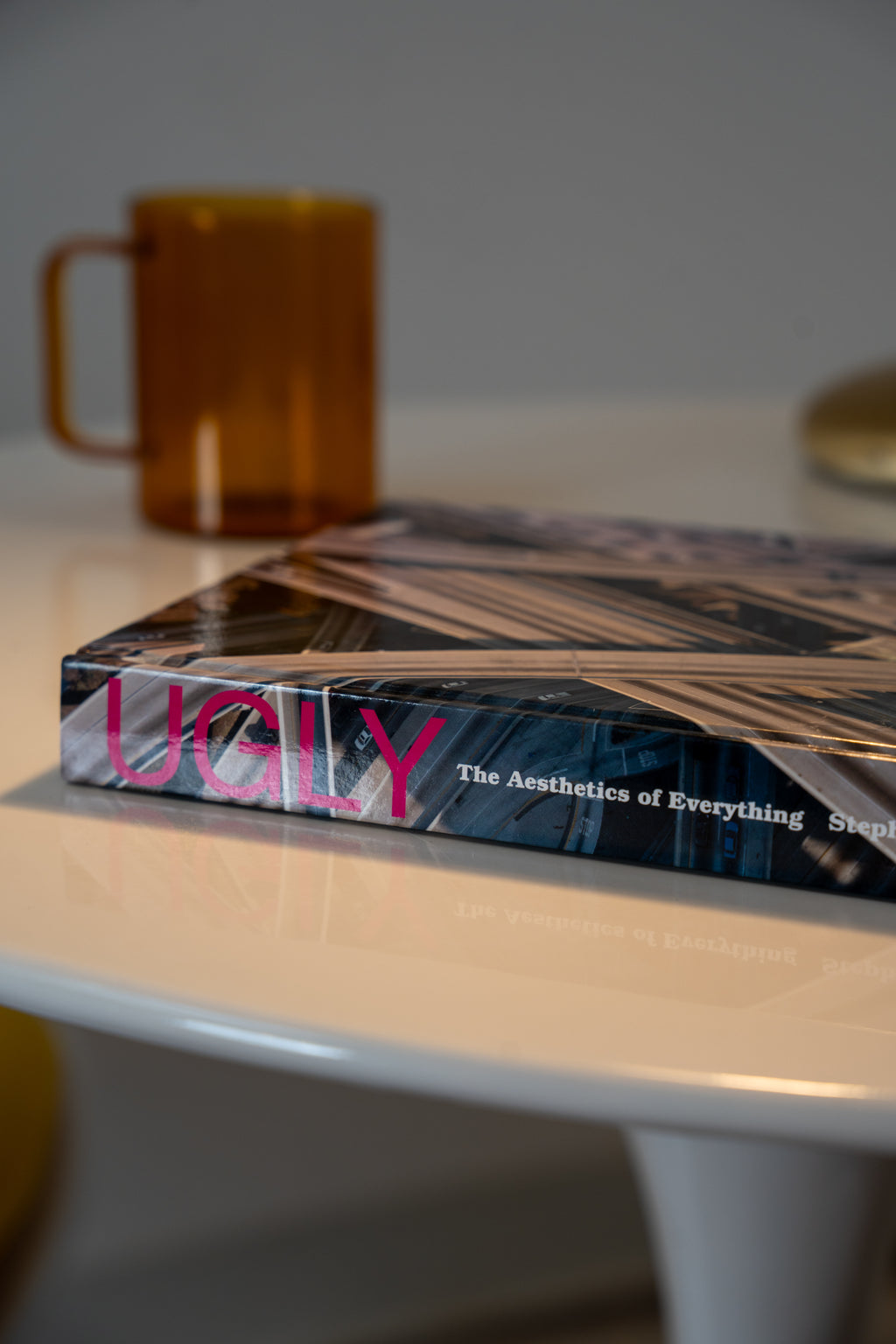 Ugly: The Aesthetics of Everything Hardcover by Stephen Bayley