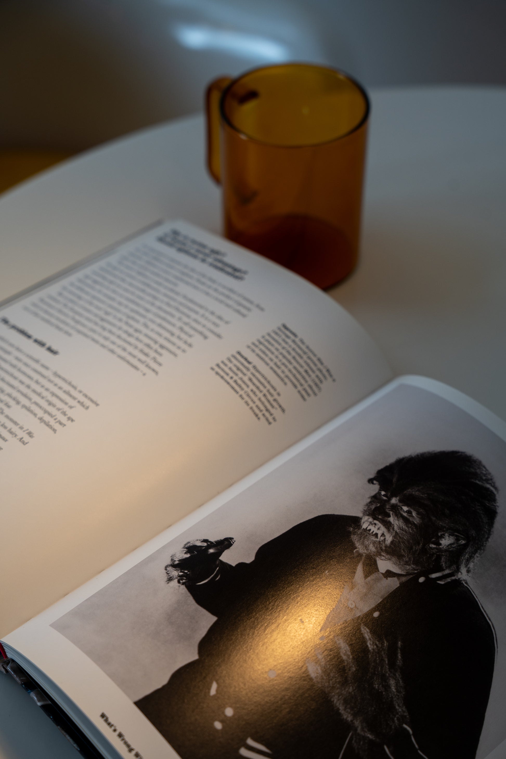 Ugly: The Aesthetics of Everything Hardcover by Stephen Bayley
