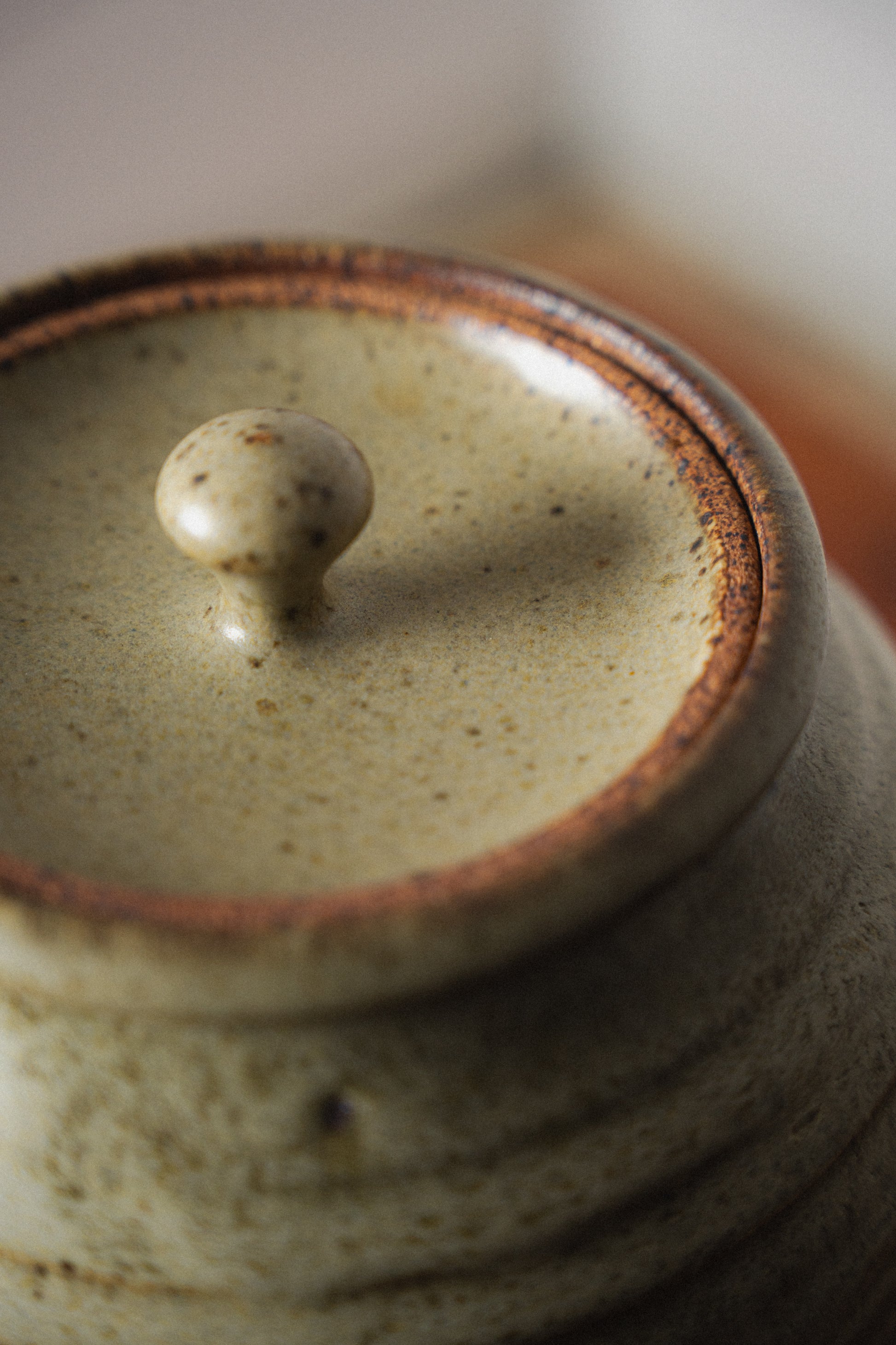 Vintage Ceramic Pot w/ Lid by David Shaner