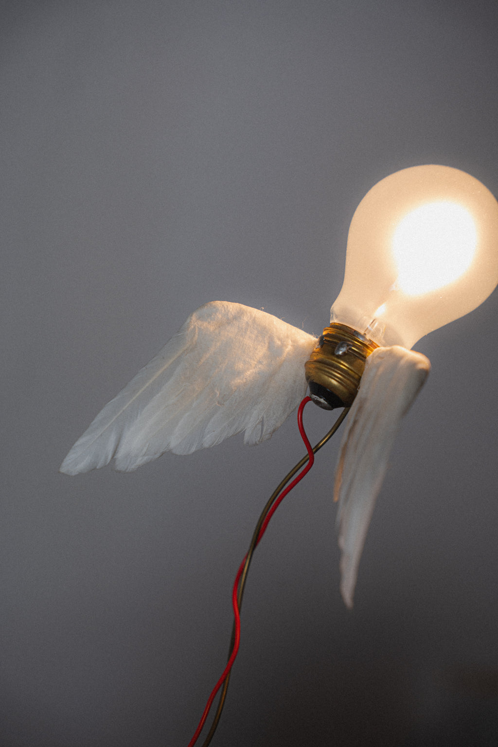 Ingo Maurer "Lucellino" Table Lamp