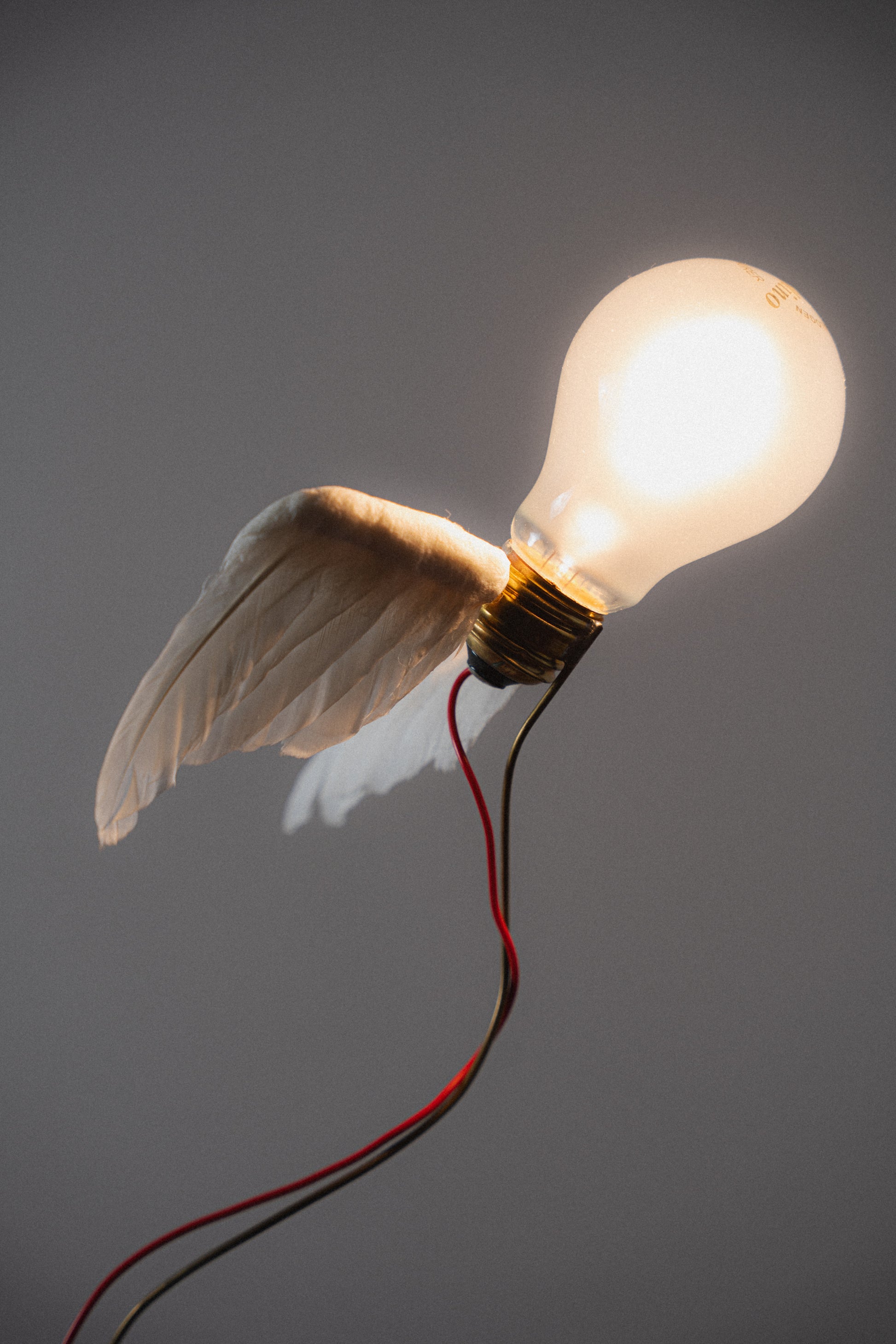 Ingo Maurer "Lucellino" Table Lamp