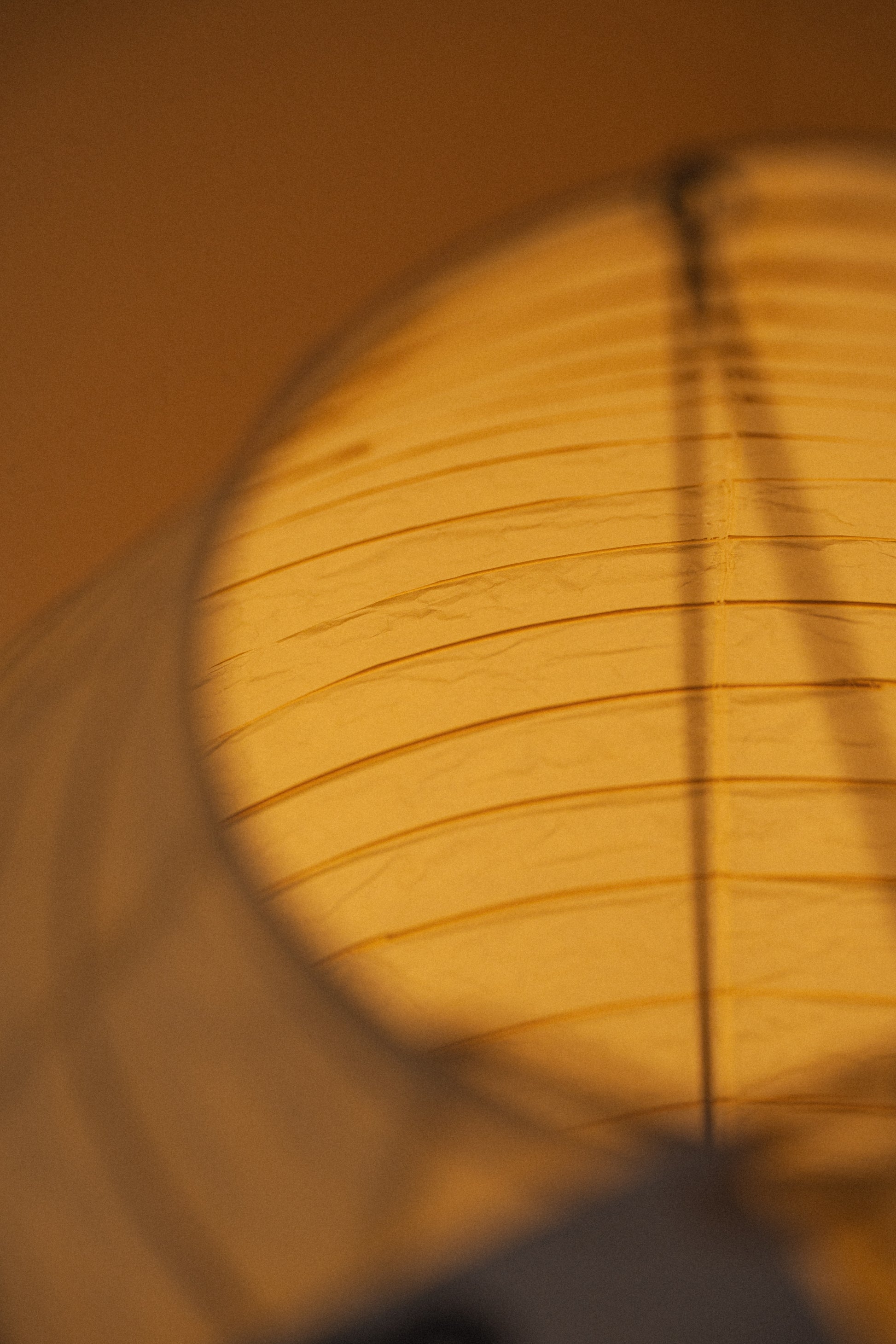 Akari 23N Floor Light Sculpture by Isamu Noguchi