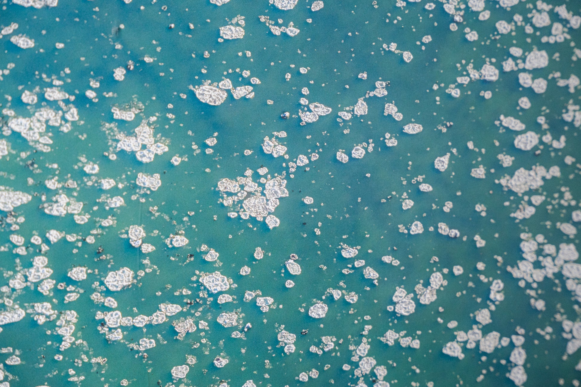 "Diamonds" By Jessica Cantlin, Seattle