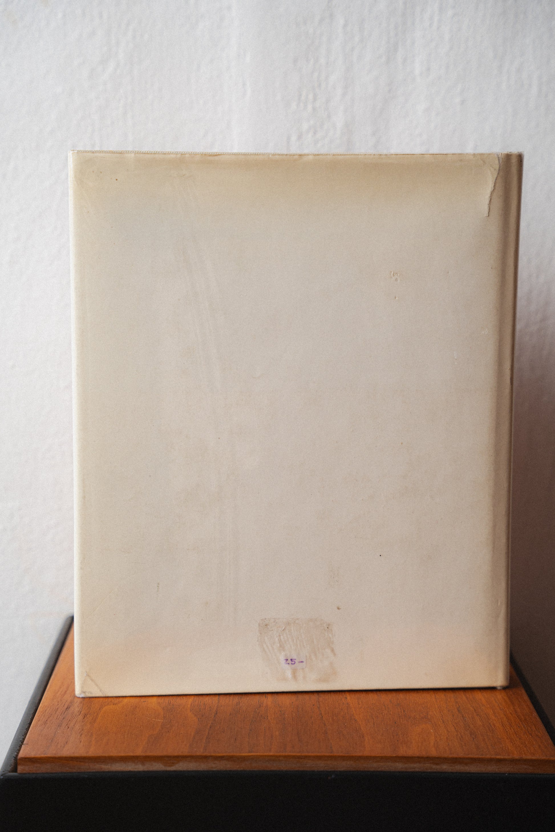 Painters of the Bauhaus by Praeger