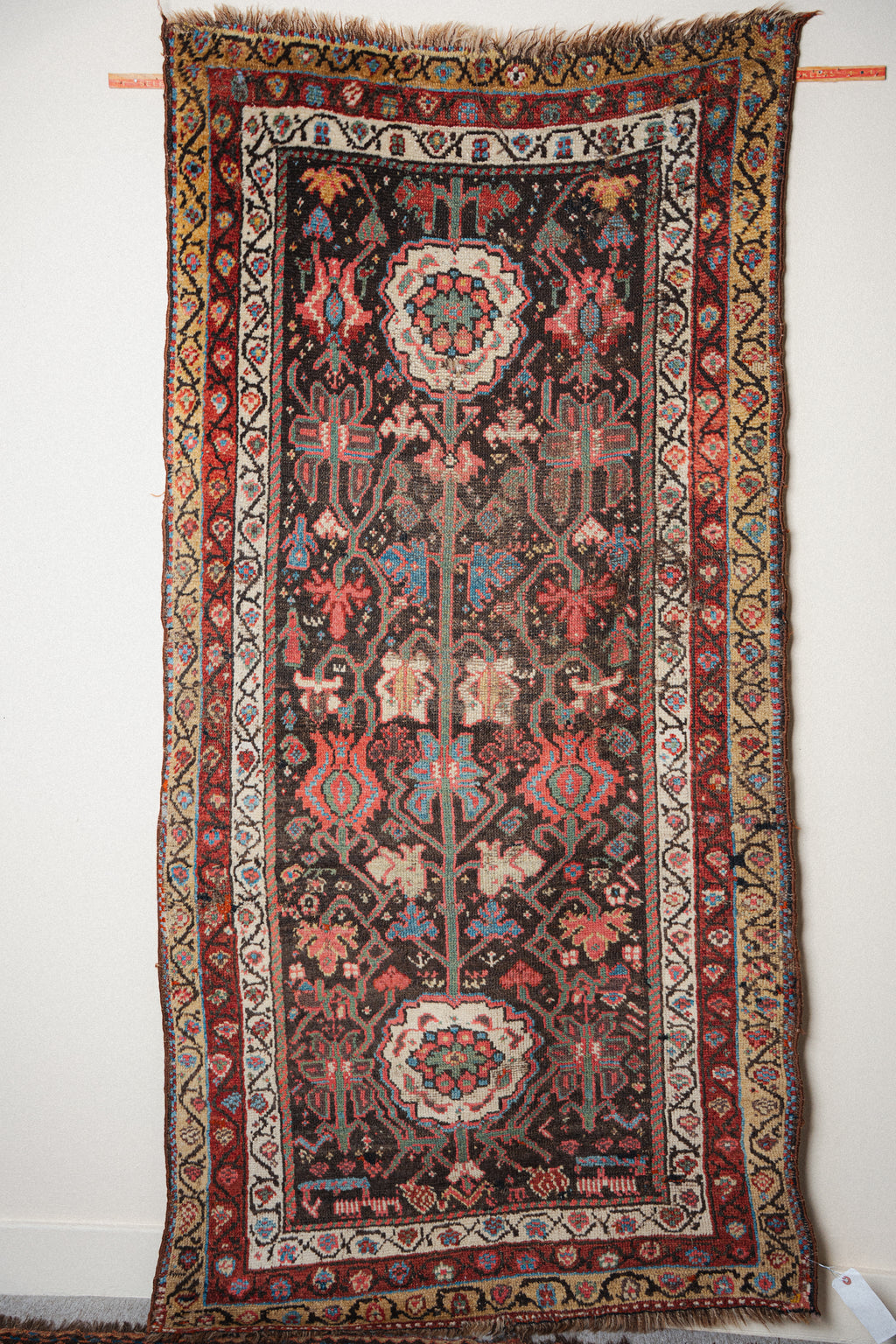 Antique Kurdish Rug, 3'5" x 6'10" - view 1