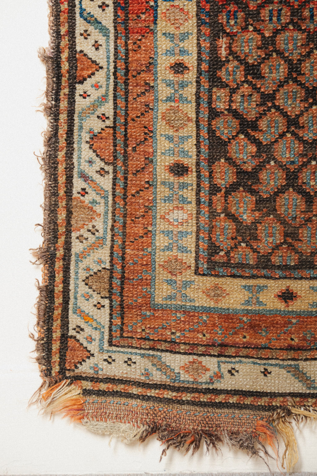 Antique Kurdish Rug, 3'5" x 6'7" - view 2