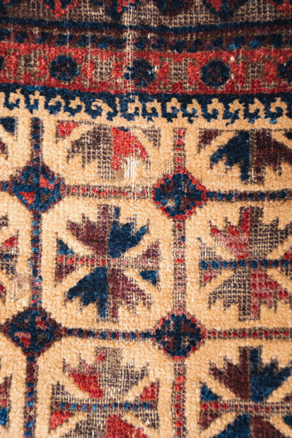 Antique Baluch Prayer Rug, 3'6" x 5'1" - view 6