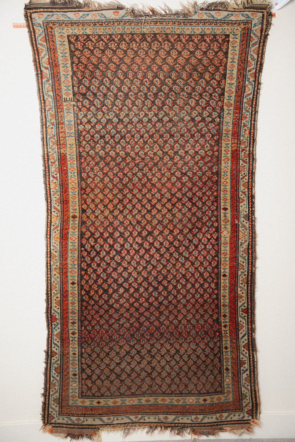 Antique Kurdish Rug, 3'5" x 6'7" - view 1