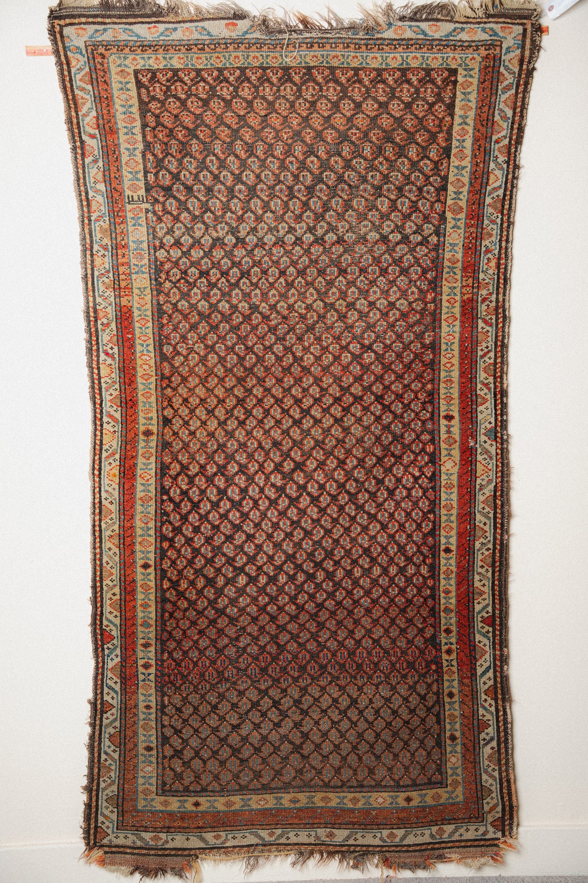 Antique Kurdish Rug, 3'5" x 6'7" - view 1