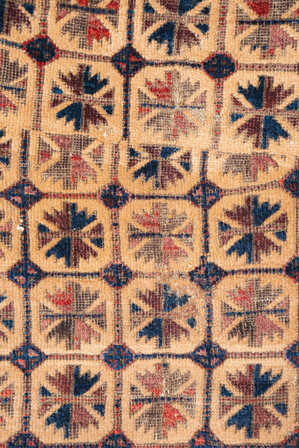 Antique Baluch Prayer Rug, 3'6" x 5'1" - view 4