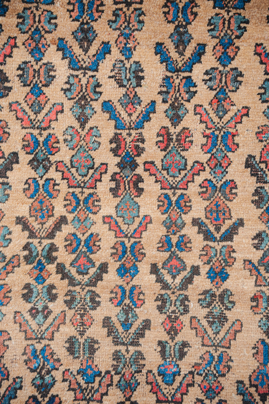 Antique Kurdish Rug, 3'10" x 6'2" - view 3